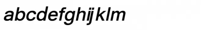 Shree Tamil 0835 Bold Italic