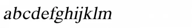 Shree Tamil 0842 Italic