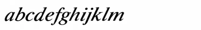 Shree Tamil 0847 Bold Italic
