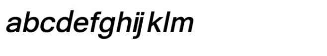 ShreeKan0853 Bold Italic