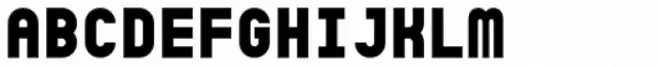 Sicret Mono Bold