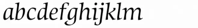 Sierra Pro Italic