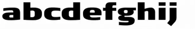 Signa Pro-Extd ExtraBlack