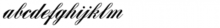 Signpainters Script