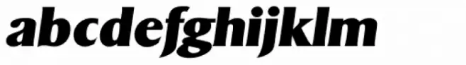Sigvar Serial Heavy Italic