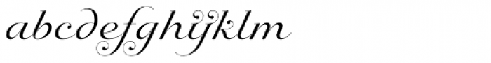 Sildetas Regular