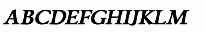 Silian Calligraphy Bold Italic