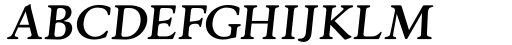 Silian Rail Light Italic