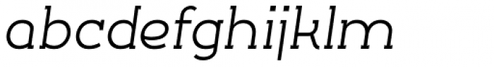 Silo Slab Italic