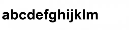 Simplified Arabic Bold
