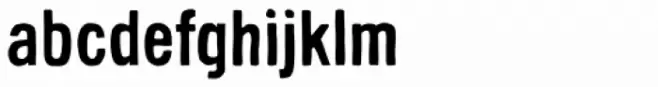 Sini Bold