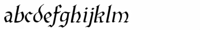 SJURecord Oblique