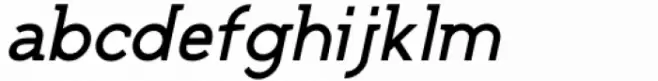 SK Falcon Medium Italic
