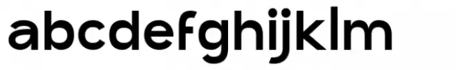 SK Synonym Grotesk Black