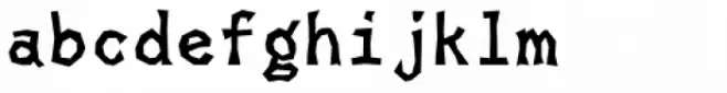 Skagwae Mono Bold