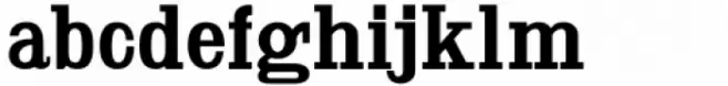 Slabserif Grotesk JNL Regular