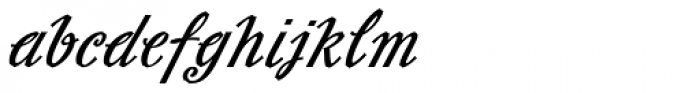 Slutsker Script Bold