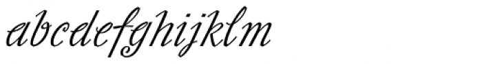Slutsker Script