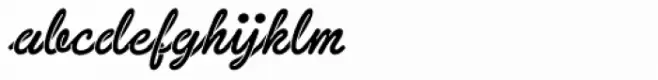 Sneaker Script