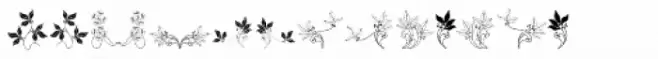 Soft Flowers Two