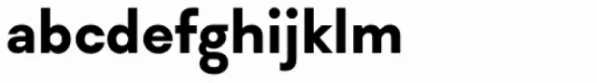 Soin Sans Bold
