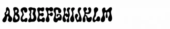 Solvent Bold