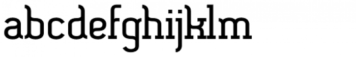SomaSlab ExtraBold