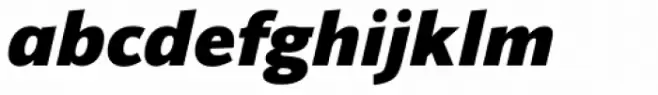 Sonus Black Italic
