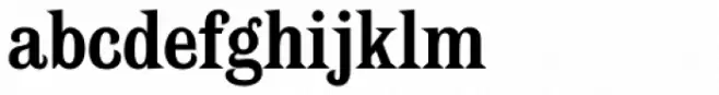 Spike Bold