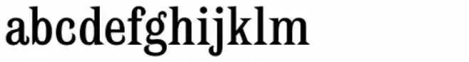Spike Regular