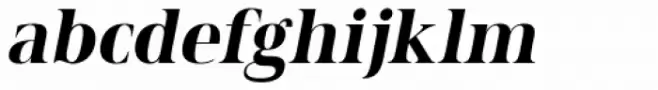 Spitzkant Head Bold Oblique