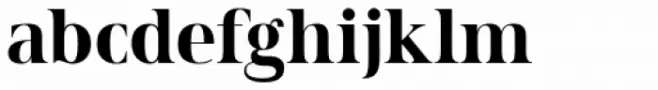 Spitzkant Head Bold