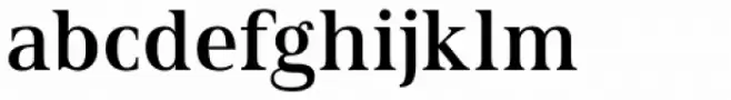 Spitzkant Text Medium