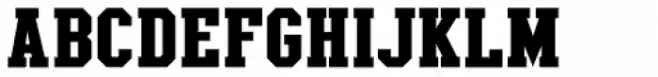 Sporting Life JNL