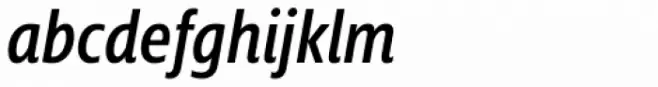 Squalo Normal Italic