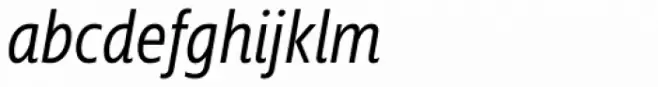 Squalo Regular Italic