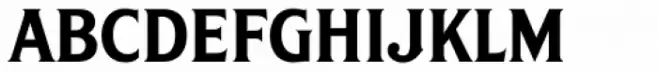 S&S Amberosa Serif