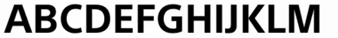SST Hebrew Bold