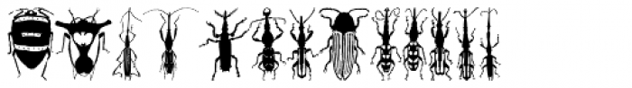 Stan Bugs