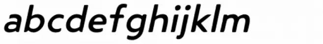 Steagal Rough Medium Italic