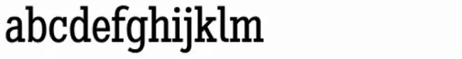 Stint Condensed Pro