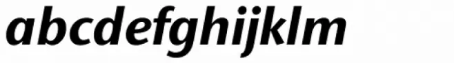Stone Sans II Pro Bold Italic