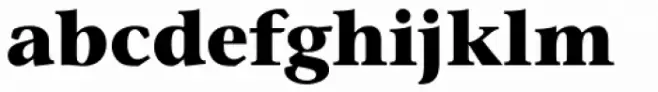 Stone Serif Pro Bold