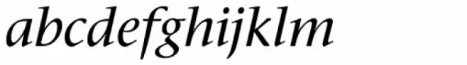 Stone Serif Pro Medium Italic