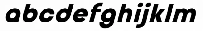 Stoner PS Heavy Italic