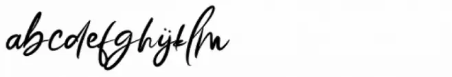 Story Fresh Medium