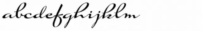 Suave Script Pro Bold
