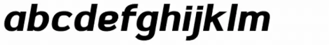 Sumptuous Black Italic