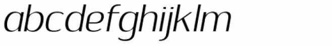 Sumptuous Thin Italic