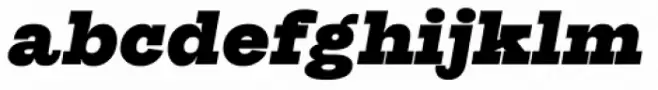 Suomi Slab Serif Black Italic